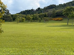 Lote/Terreno de no bairro Ingleses do Rio Vermelho, em Florianópolis | Eu Corretor