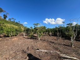 Fazenda/Sítios/Chácaras no bairro Área Rural de Cacoal, em Cacoal | Eu Corretor