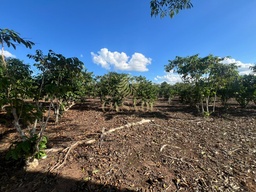 Fazenda/Sítios/Chácaras no bairro Área Rural de Cacoal, em Cacoal | Eu Corretor