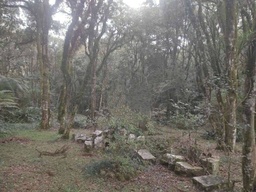 Lote/Terreno no bairro Ana Rech, em Caxias do Sul | Eu Corretor