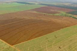 Fazenda/Sítios/Chácaras de 12010000m² no bairro Área Rural de Naviraí, em Naviraí | Eu Corretor