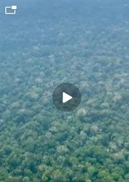 Fazenda/Sítios/Chácaras de 99916m² no bairro zona rural, em Coari | Eu Corretor