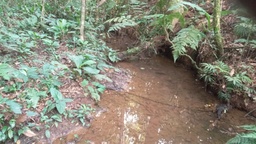 Fazenda/Sítios/Chácaras de 270m² no bairro Fau, em Miracatu | Eu Corretor