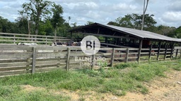 Lote/Terreno no bairro ZONA RURAL, em Rio Preto da Eva | Eu Corretor