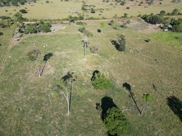Fazenda/Sítios/Chácaras de 3 quartos, 48400m² no bairro Área Rural de Cacoal, em Cacoal | Eu Corretor