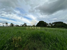 Fazenda/Sítios/Chácaras de 169400m² no bairro Área Rural de Cacoal, em Cacoal | Eu Corretor