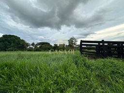 Fazenda/Sítios/Chácaras de 169400m² no bairro Área Rural de Cacoal, em Cacoal | Eu Corretor