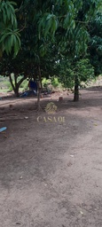 Fazenda/Sítios/Chácaras de 5000m² no bairro Área Rural de Cacoal, em Cacoal | Eu Corretor