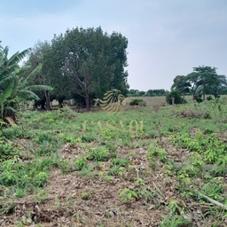 Fazenda/Sítios/Chácaras de 5000m² no bairro Área Rural de Cacoal, em Cacoal | Eu Corretor