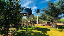 Fazenda/Sítios/Chácaras de 10125m² no bairro Área Rural de Cacoal, em Cacoal | Eu Corretor