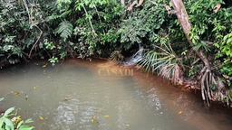 Fazenda/Sítios/Chácaras de 88m² no bairro Área Rural de Cacoal, em Cacoal | Eu Corretor