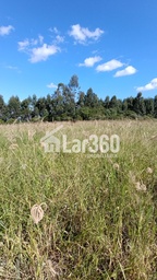 Fazenda/Sítios/Chácaras de 26000m² no bairro Colinas Verdes, em Estância Velha | Eu Corretor
