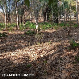 Fazenda/Sítios/Chácaras de 14900m² no bairro Área Rural de Cacoal, em Cacoal | Eu Corretor