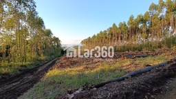 Fazenda/Sítios/Chácaras de 58500m² no bairro Macaco Branco , em Portão | Eu Corretor