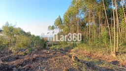 Fazenda/Sítios/Chácaras de 58500m² no bairro Macaco Branco , em Portão | Eu Corretor