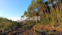 Fazenda/Sítios/Chácaras de 58500m² no bairro Macaco Branco , em Portão | Eu Corretor
