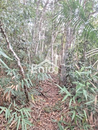 Fazenda/Sítios/Chácaras de 5000m² no bairro Centro perto, em Santa Teresa | Eu Corretor