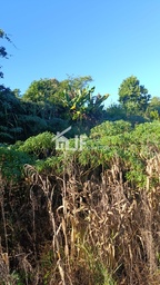 Fazenda/Sítios/Chácaras de 7000m² no bairro Macaco branco , em Portão | Eu Corretor