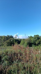 Chácara de 7000m² no bairro Macaco branco , em Portão | Eu Corretor