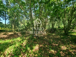 Lote/Terreno de 3118m² no bairro São Pedro (Cambaquara), em Ilhabela | Eu Corretor