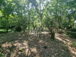 Lote/Terreno de 3118m² no bairro São Pedro (Cambaquara), em Ilhabela | Eu Corretor