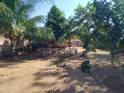 Fazenda/Sítios/Chácaras de 2 quartos, 90m² no bairro Área Rural de Cacoal, em Cacoal | Eu Corretor