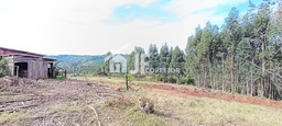 Fazenda/Sítios/Chácaras de 1000m² no bairro Colinas Verdes, em Estância Velha | Eu Corretor