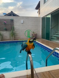 Casa de 4 quartos, 400m² no bairro Jardim Guanabara, em Rio de Janeiro | Eu Corretor