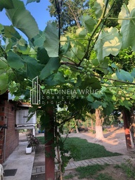 Fazenda/Sítios/Chácaras no bairro Vila Antonia Nantes, em Batayporã | Eu Corretor