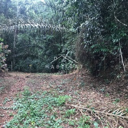 Lote/Terreno de 17000m² no bairro Vargem Grande, em Teresópolis | Eu Corretor