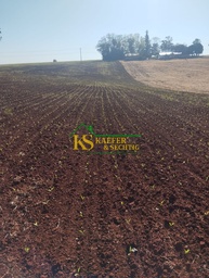 Fazenda/Sítios/Chácaras de 270m² no bairro Área Rural de Santa Rosa, em Santa Rosa | Eu Corretor