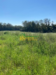 Fazenda/Sítios/Chácaras de 270m² no bairro Área Rural de Santa Rosa, em Santa Rosa | Eu Corretor