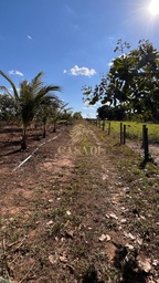 Fazenda/Sítios/Chácaras de 2 quartos, 58400m² no bairro Área Rural de Cacoal, em Cacoal | Eu Corretor