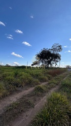 Fazenda/Sítios/Chácaras de 2 quartos, 58400m² no bairro Área Rural de Cacoal, em Cacoal | Eu Corretor