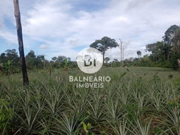 Fazenda/Sítios/Chácaras no bairro ZONA RURAL, em Careiro | Eu Corretor