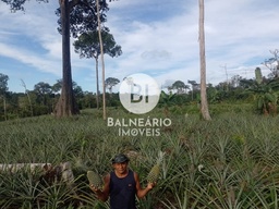 Fazenda/Sítios/Chácaras no bairro ZONA RURAL, em Careiro | Eu Corretor