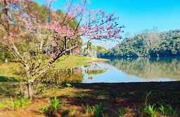 Lote/Terreno de 2982m² no bairro Vale das Fontes, em Embu-Guaçu | Eu Corretor