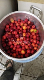 Fazenda/Sítios/Chácaras de no bairro  Bairro Pará/Laras, em Laranjal Paulista | Eu Corretor