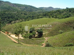 Fazenda/Sítios/Chácaras no bairro Alto Mutum Preto, em Baixo Guandu | Eu Corretor