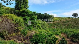 Fazenda/Sítios/Chácaras no bairro São Pedro frio, em Colatina | Eu Corretor