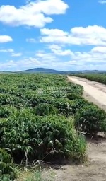 Fazenda/Sítios/Chácaras no bairro Centro, em Eunápolis | Eu Corretor