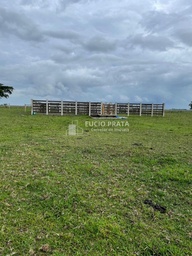 Fazenda/Sítios/Chácaras no bairro Palmital, em Linhares | Eu Corretor