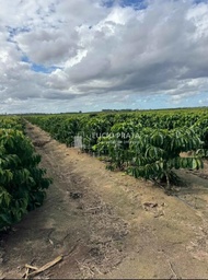 Fazenda/Sítios/Chácaras no bairro Jacupemba, em Aracruz | Eu Corretor