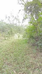 Chácara de 44000m² no bairro Macaco branco , em Portão | Eu Corretor