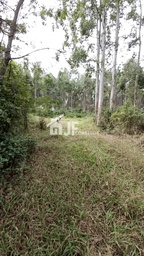 Chácara de 44000m² no bairro Macaco branco , em Portão | Eu Corretor