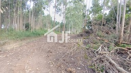 Chácara de 44000m² no bairro Macaco branco , em Portão | Eu Corretor