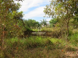 Fazenda/Sítios/Chácaras no bairro Zona rural, em Juara | Eu Corretor
