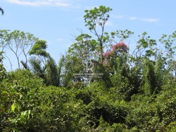 Fazenda/Sítios/Chácaras no bairro Zona rural, em Juara | Eu Corretor