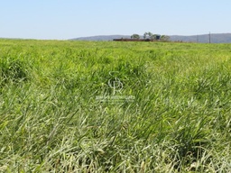 Fazenda/Sítios/Chácaras no bairro Zona rural, em Rosário Oeste | Eu Corretor