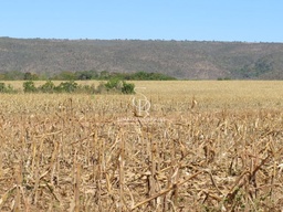 Fazenda/Sítios/Chácaras no bairro Zona rural, em Rosário Oeste | Eu Corretor